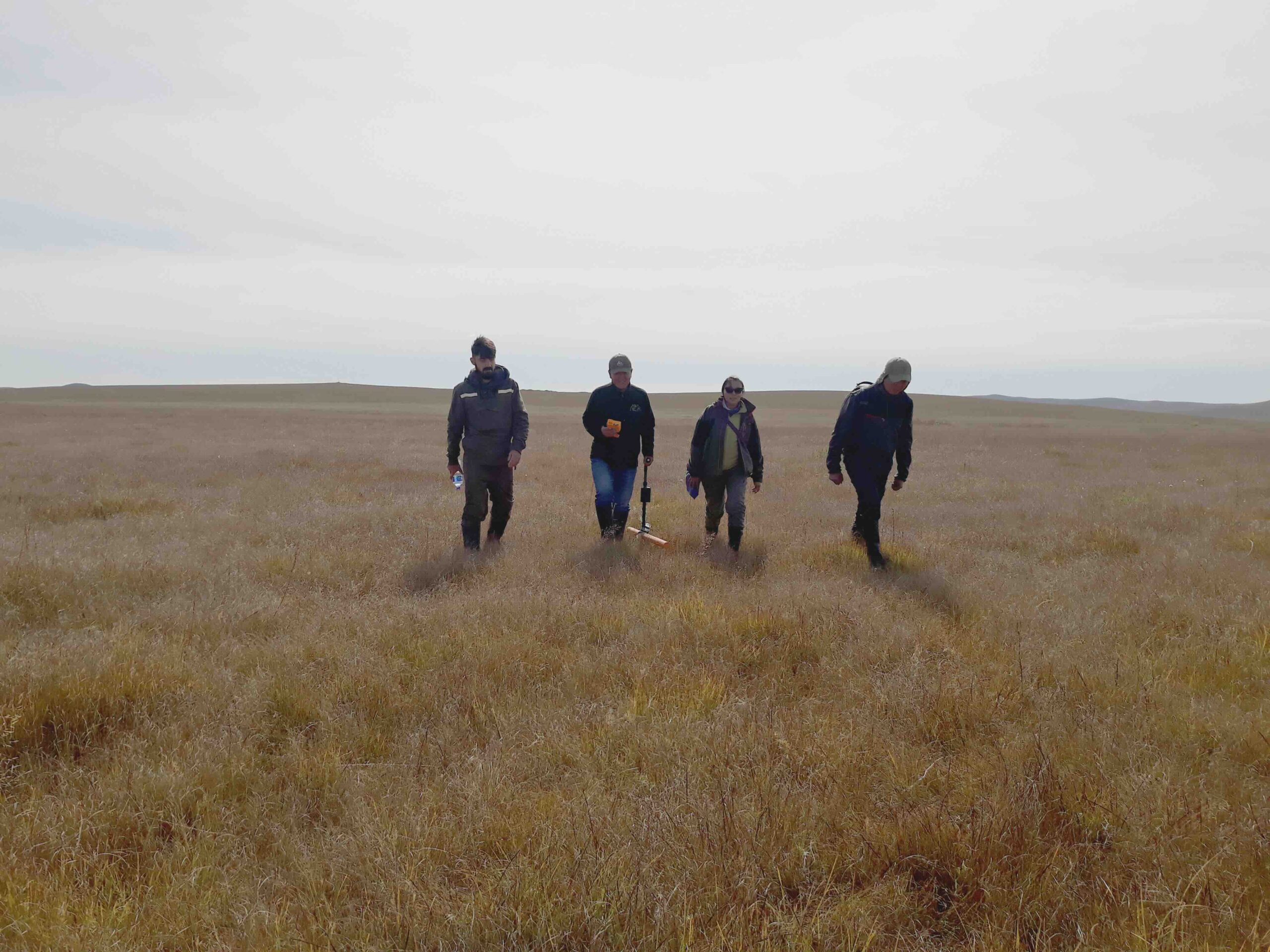 Kartering van veengebieden tegen veenafbraak in Mongolië